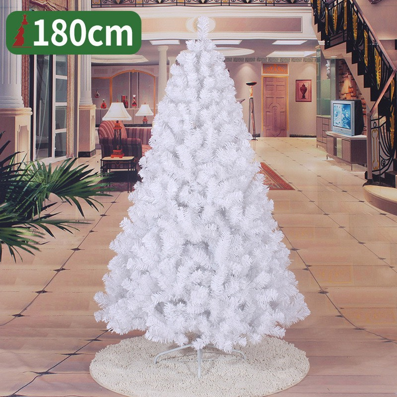 Cây thông Màu Trắng Dày Rậm C16 1.8 mét Trang Trí Noel Giáng Sinh