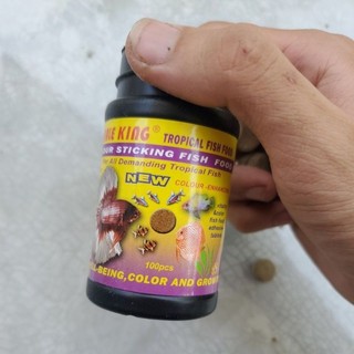 Thức ăn dán cho cá cảnh thủy sinh