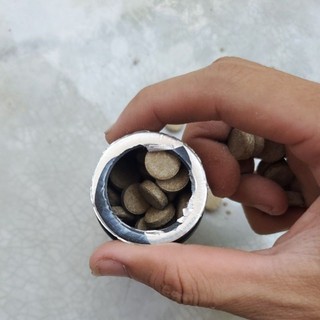 Thức ăn dán cho cá cảnh thủy sinh