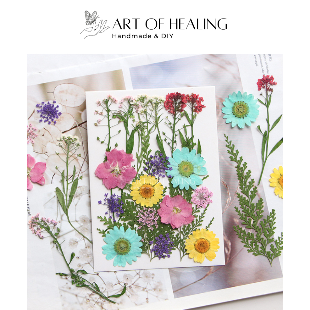 [AOH - Art of Healing] Set hoa ép khô các loại trang trí nến, resin, sổ tay, decor - 21 cánh (Lớn) - Handmade & DIY