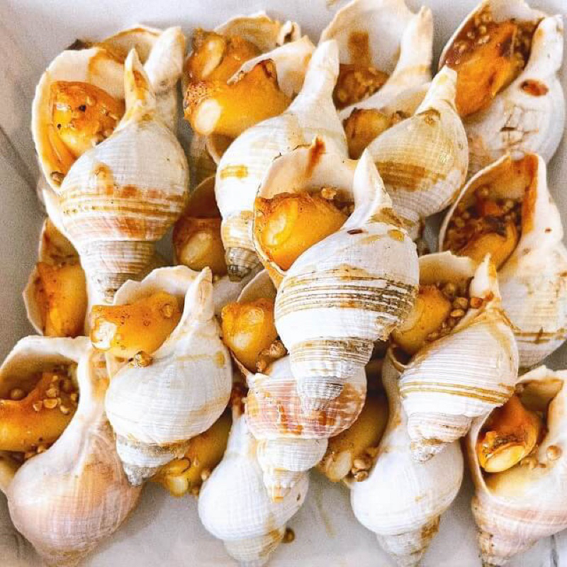 Ốc bulot pháp 1kg