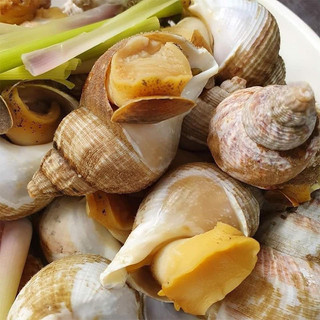 Ốc bulot pháp túi 1kg (giao hoả tốc )