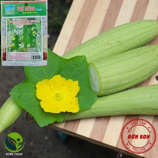 Hạt giống mướp hương f1 - phú nông seeds