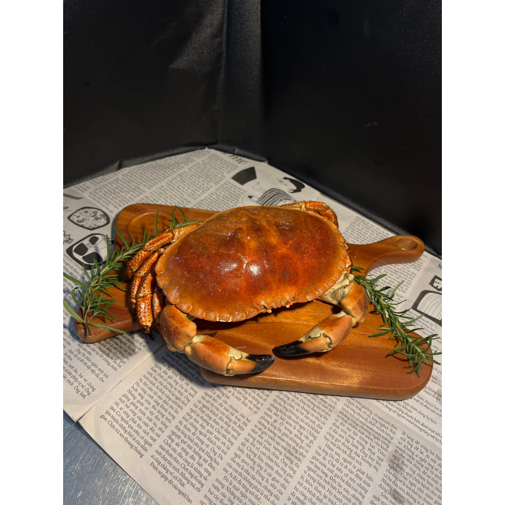 HỎA TỐC- CUA NÂU NAUY SOFRIMA ĐỦ SIZE