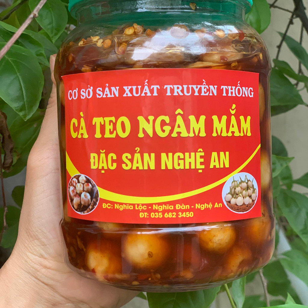 Cà Teo Ngâm Mắm Nghệ An Hộp 1Kg - Ngon, Giòn, Sạch Chuẩn Vị Nghệ An - Bếp Mẹ Mít