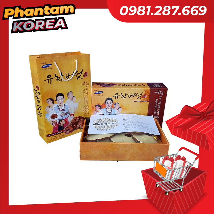 Nấm linh chi 💥 HÀNG LOẠI 1 💥 Nấm vàng chanh hộp cô gái Hàn Quốc chính hãng