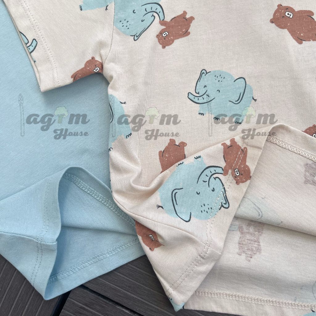 Set 2 áo phông cộc tay HM cho bé trai 8-18kg - Lagim House