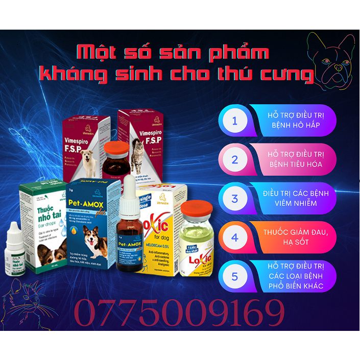 Vemedim ETO modex dùng cho chó từ 2-4kg bị viêm da, ve, rận, bọ chét, 1 hộp 1 viên