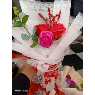 combo 5 nhanh táo trang trí. cắm hoa...