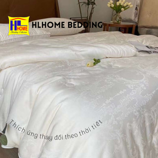 Ruột chăn tơ tằm xơ đậu nành kích thước 2m-2m3 cao cấp mềm mại dùng bốn mùa