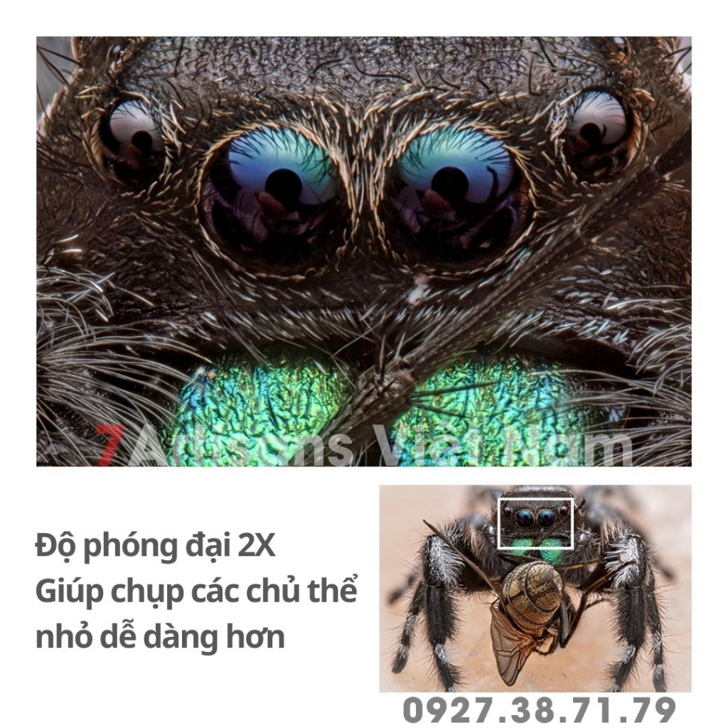 Ống kính TTArtisan 100mm F2.8 Macro 2X kèm Tilt Shift : Sony E/FE, Fujifilm FX/GFX, Nikon Z/F, Canon R/EF, Leica L, M43