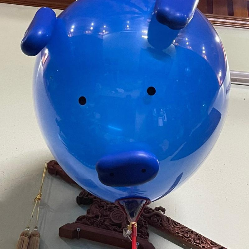 Bóng Heo Hồng Hottrend tiktok