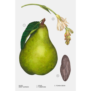 NƯỚC HOA ZARA DEEP GARDEN EDP 100 ML