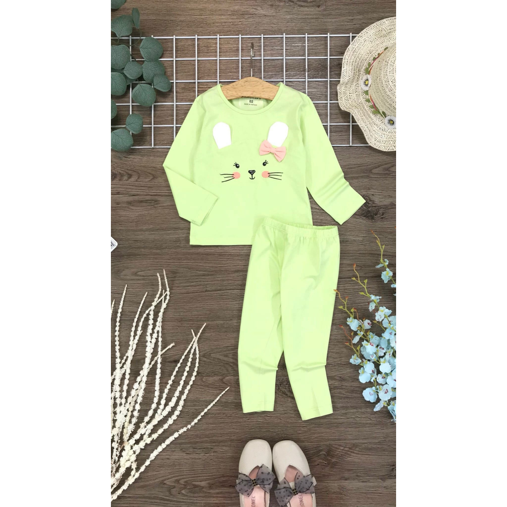 Bộ Thun  Dài Tay Bé Gái Nanokids 10kg Đến 35kg