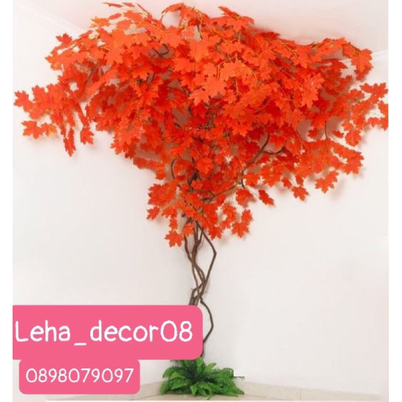 Combo 12 cành Lá Phong đỏ 🍁