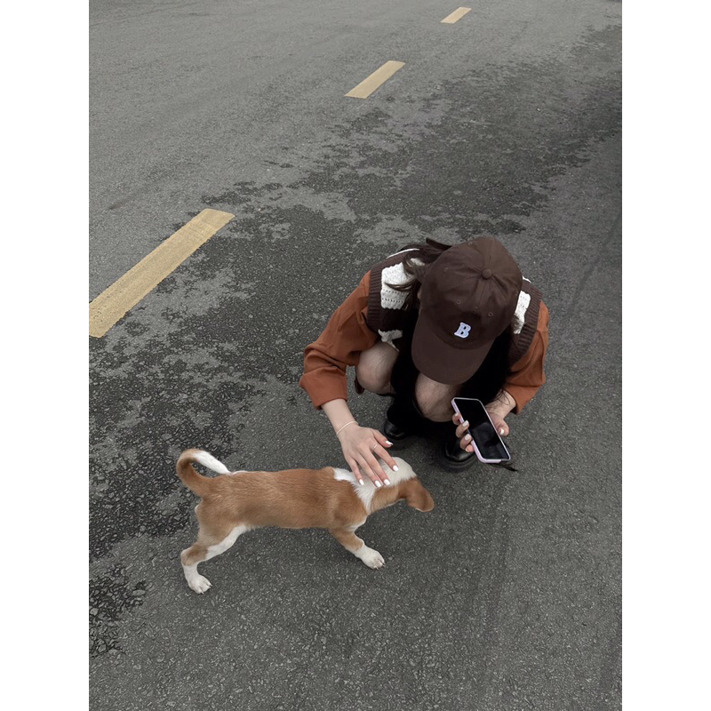 Set gile kẻ kèm áo sơ mi