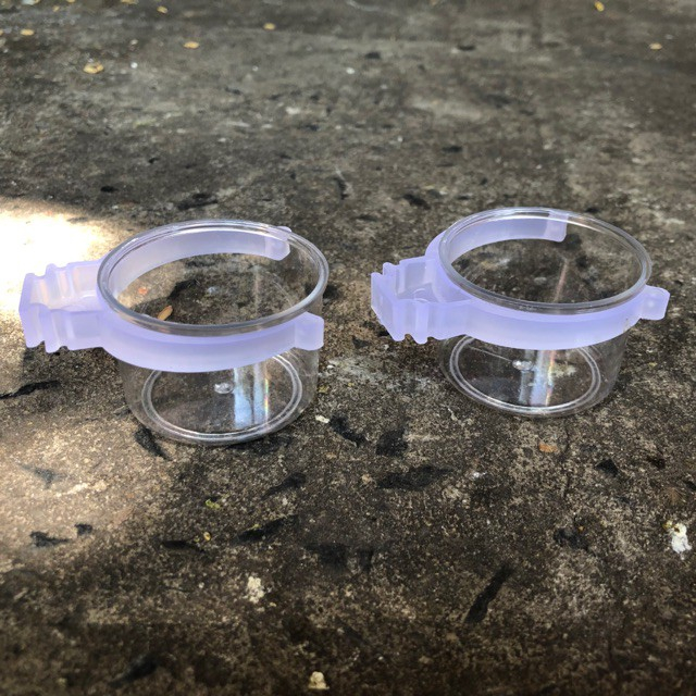 Cóng Ăn, Cóng Đựng Nước Cho Chim Hút Mật, Khuyên, Chòe Đất, Tiểu Mi