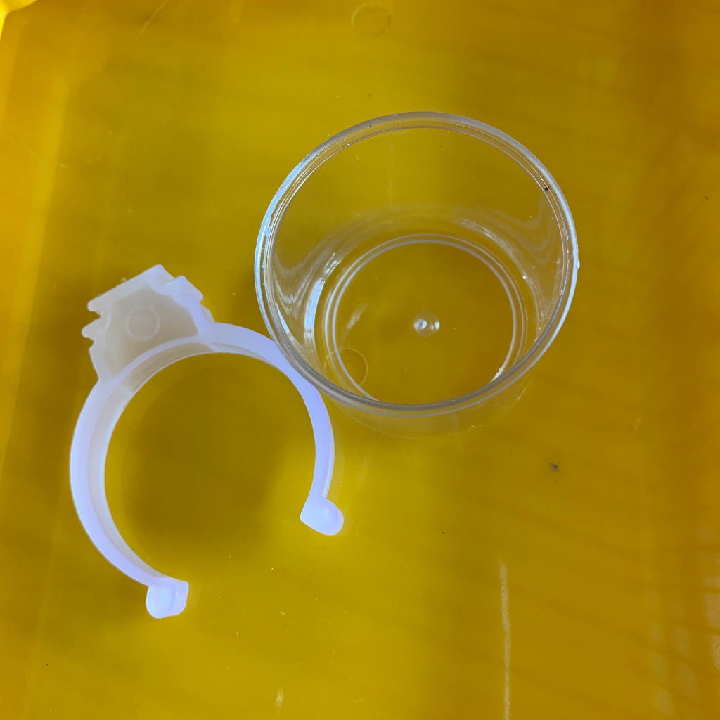 Cóng Ăn, Cóng Đựng Nước Cho Chim Hút Mật, Khuyên, Chòe Đất, Tiểu Mi