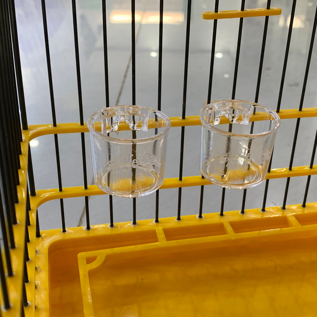 Cóng Ăn, Cóng Đựng Nước Cho Chim Hút Mật, Khuyên, Chòe Đất, Tiểu Mi