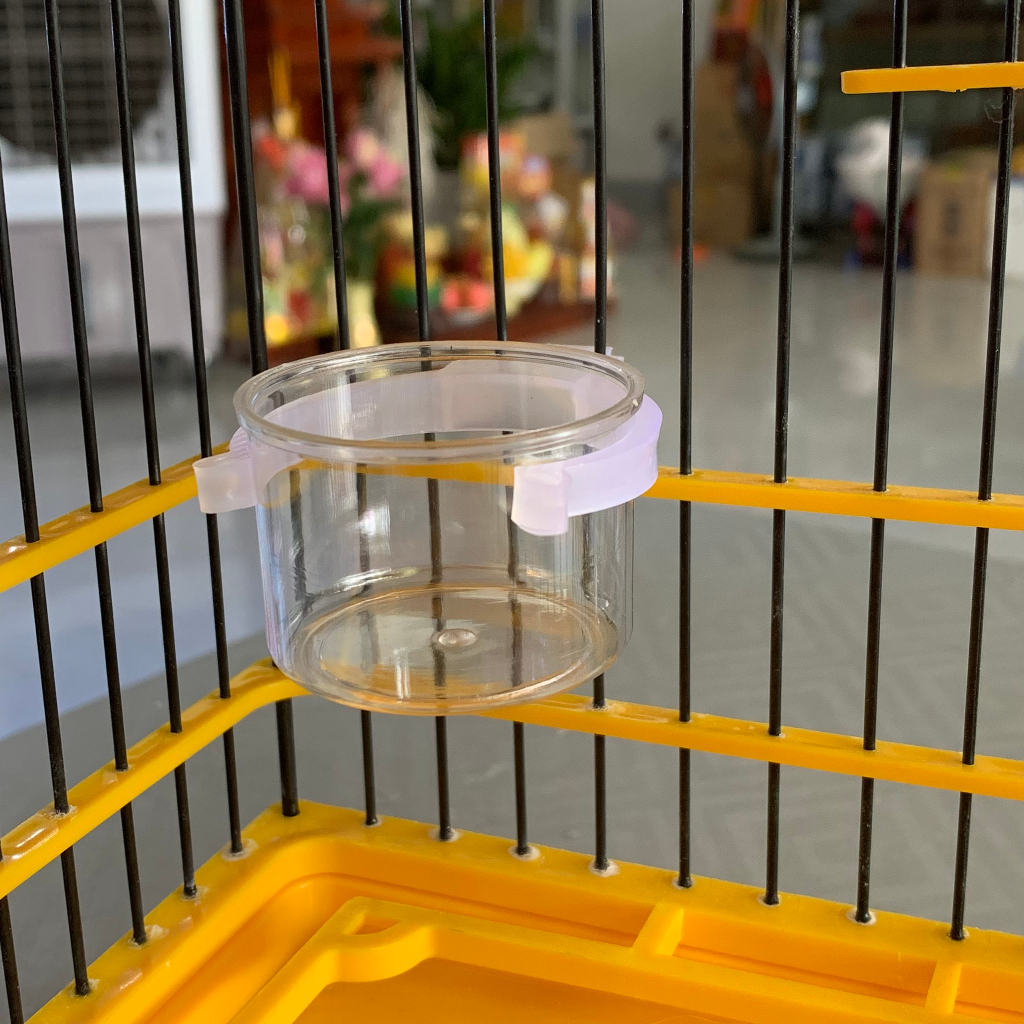 Cóng Ăn, Cóng Đựng Nước Cho Chim Hút Mật, Khuyên, Chòe Đất, Tiểu Mi