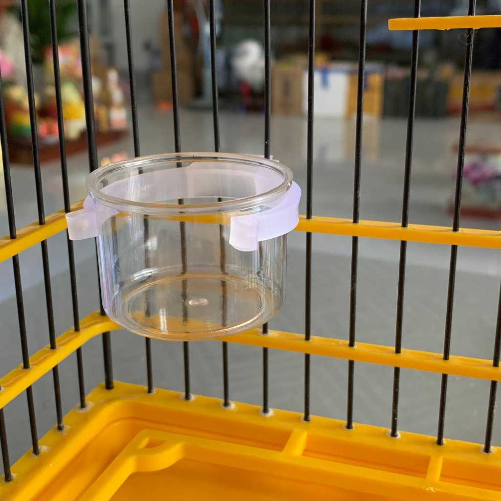 Cóng Ăn, Cóng Đựng Nước Cho Chim Hút Mật, Khuyên, Chòe Đất, Tiểu Mi