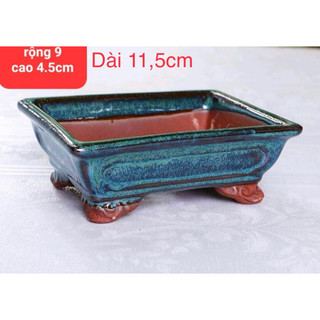 Chậu chữ nhật trồng cây mini