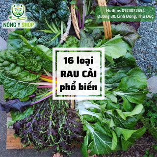 Hạt giống các loại rau cải Rạng Đông, cải ngọt, bẹ xanh, bó xôi, cầu vồng, bẹ dún, thìa, bẹ trắng, xậy, cải ngồng, rổ