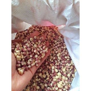 Ngô nếp tím - 05kg
