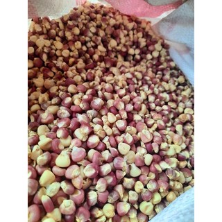 Ngô nếp tím - 05kg
