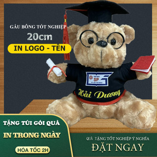Gấu bông tốt nghiệp 20cm lông xù giá sỉ, tặng giấy gói quà