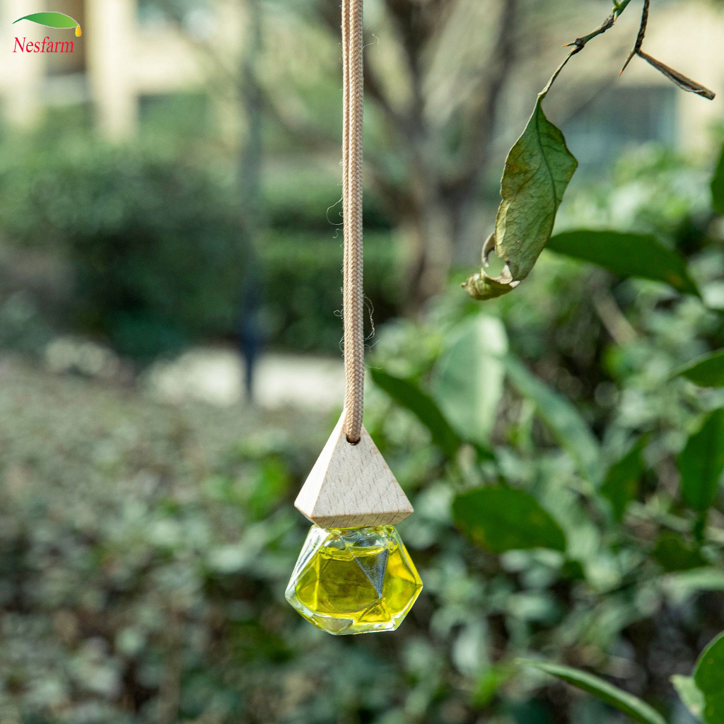 Tinh dầu tràm treo xe thơm phòng thiên nhiên nguyên chất đuổi muỗi khử mùi NESFARM TTT8