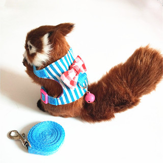 Yếm vải kèm cánh + dây dắt cho Hamster Bear, Sóc Bông, Sóc Đất, Bọ, Sóc Bắc Mỹ, Dumbo Rat...