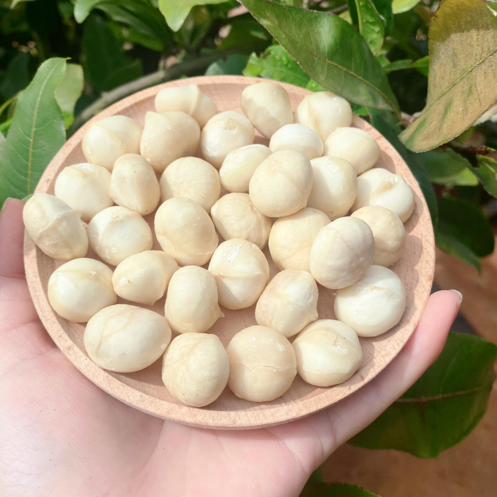 Nhân hạt macca Daklak chọn lọc kĩ lưỡng cung cấp dinh dưỡng cho mọi đối tượng đặc biệt phù hợp với mẹ bầu và trẻ nhỏ