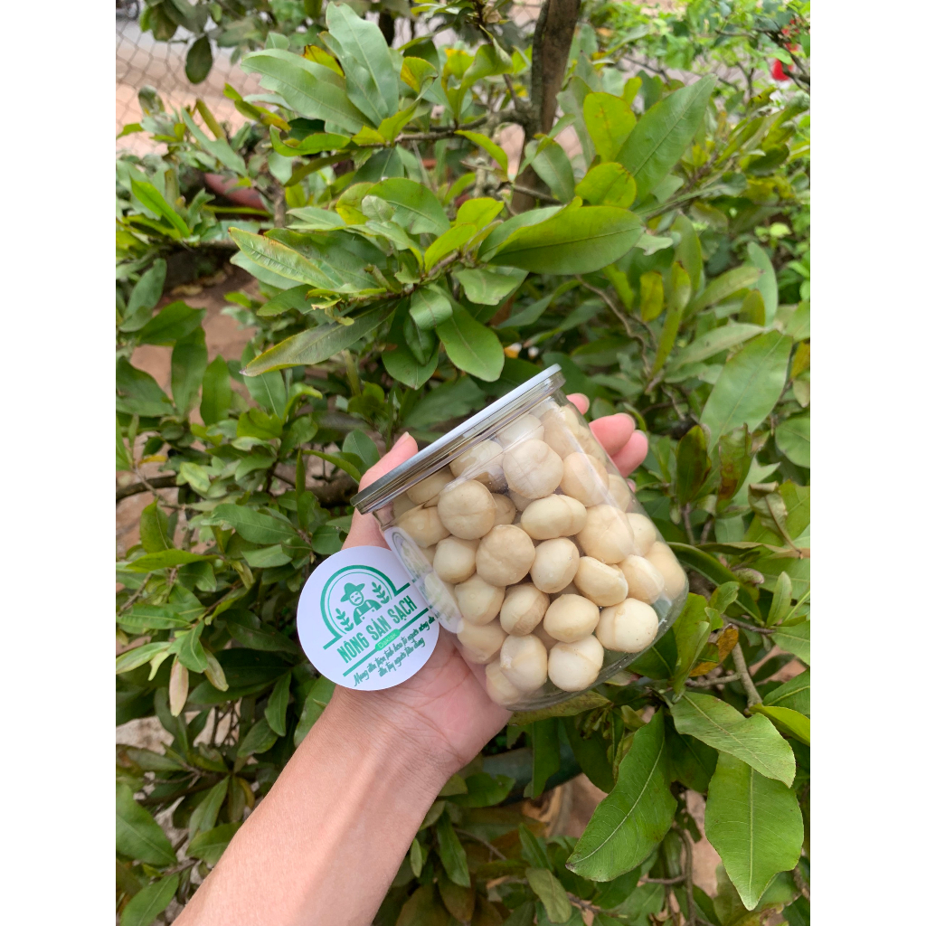 Nhân hạt macca Daklak chọn lọc kĩ lưỡng cung cấp dinh dưỡng cho mọi đối tượng đặc biệt phù hợp với mẹ bầu và trẻ nhỏ