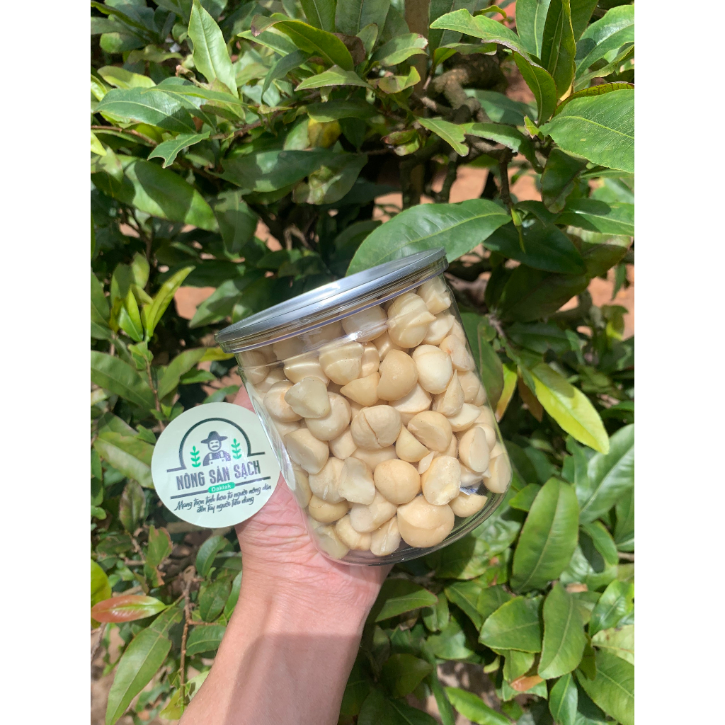 Nhân hạt macca Daklak chọn lọc kĩ lưỡng cung cấp dinh dưỡng cho mọi đối tượng đặc biệt phù hợp với mẹ bầu và trẻ nhỏ