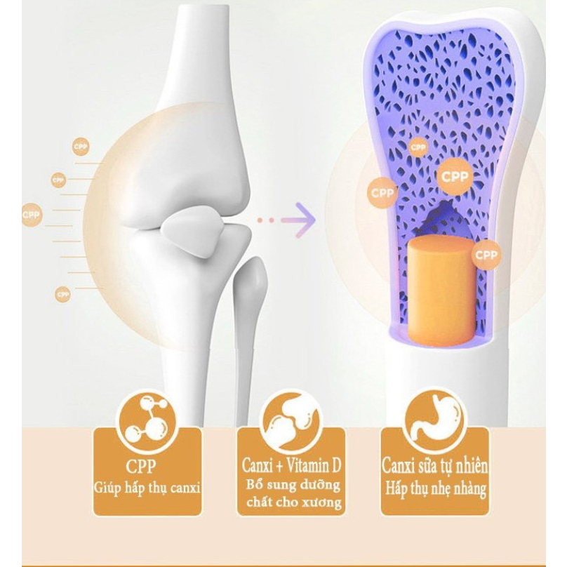 Canxi cho chó mèo, Canxi Tablet Nano bổ sung canxi, vitamin, dưỡng chất cho chó mèo, vị sữa, Dr.Case