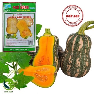 Hạt giống bí đỏ hạt đậu-bí đỏ hồ lô pn-389 phú nông