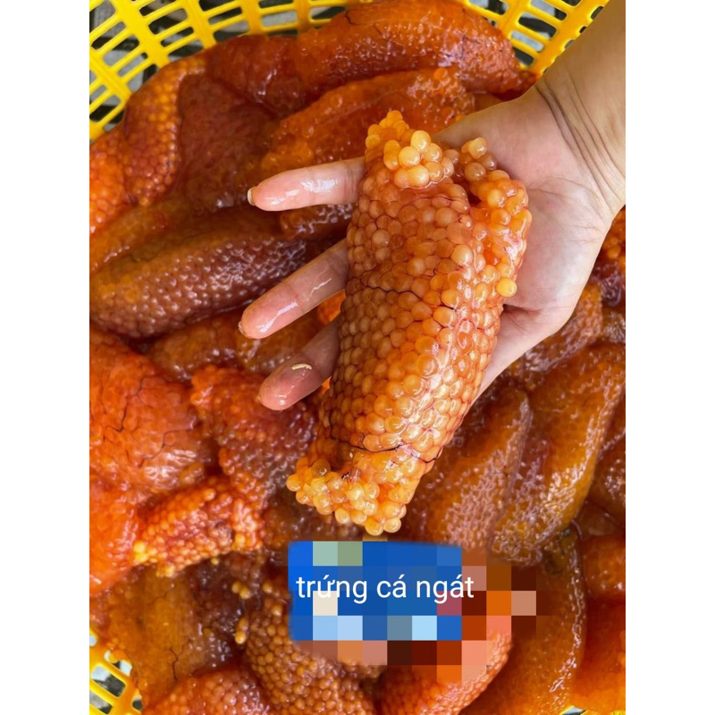Trứng cá Ngát 500gr
