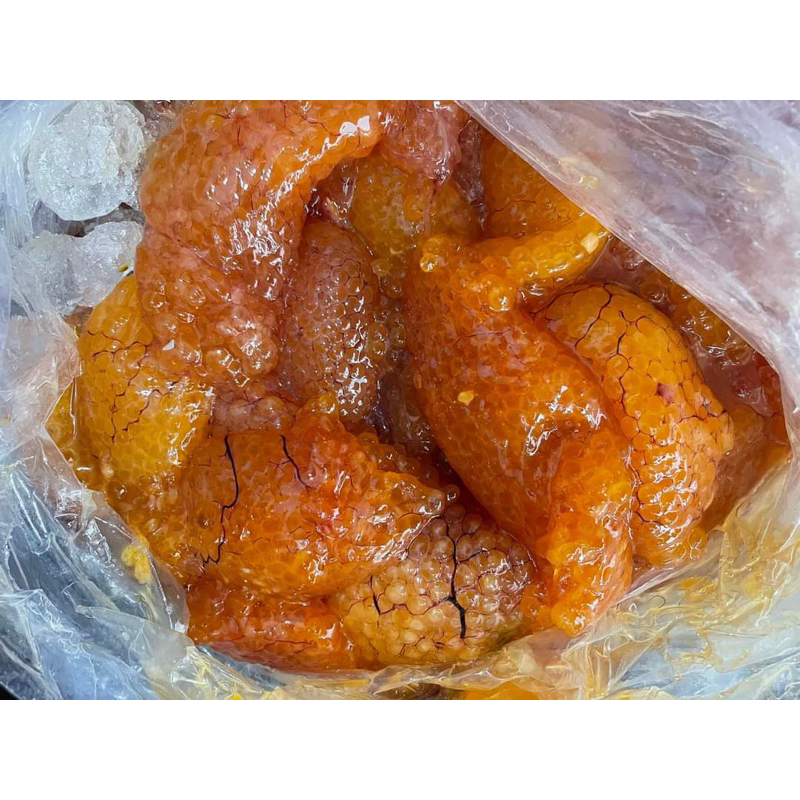 Trứng cá Ngát 500gr