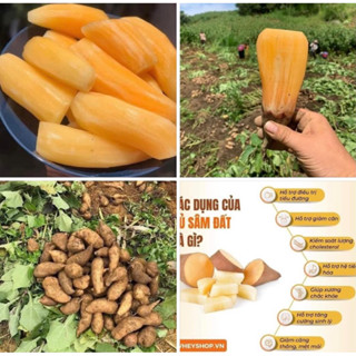 Khoai Sâm Đất , CỦ NHỠ , ngon ngọt ròn , 5kg