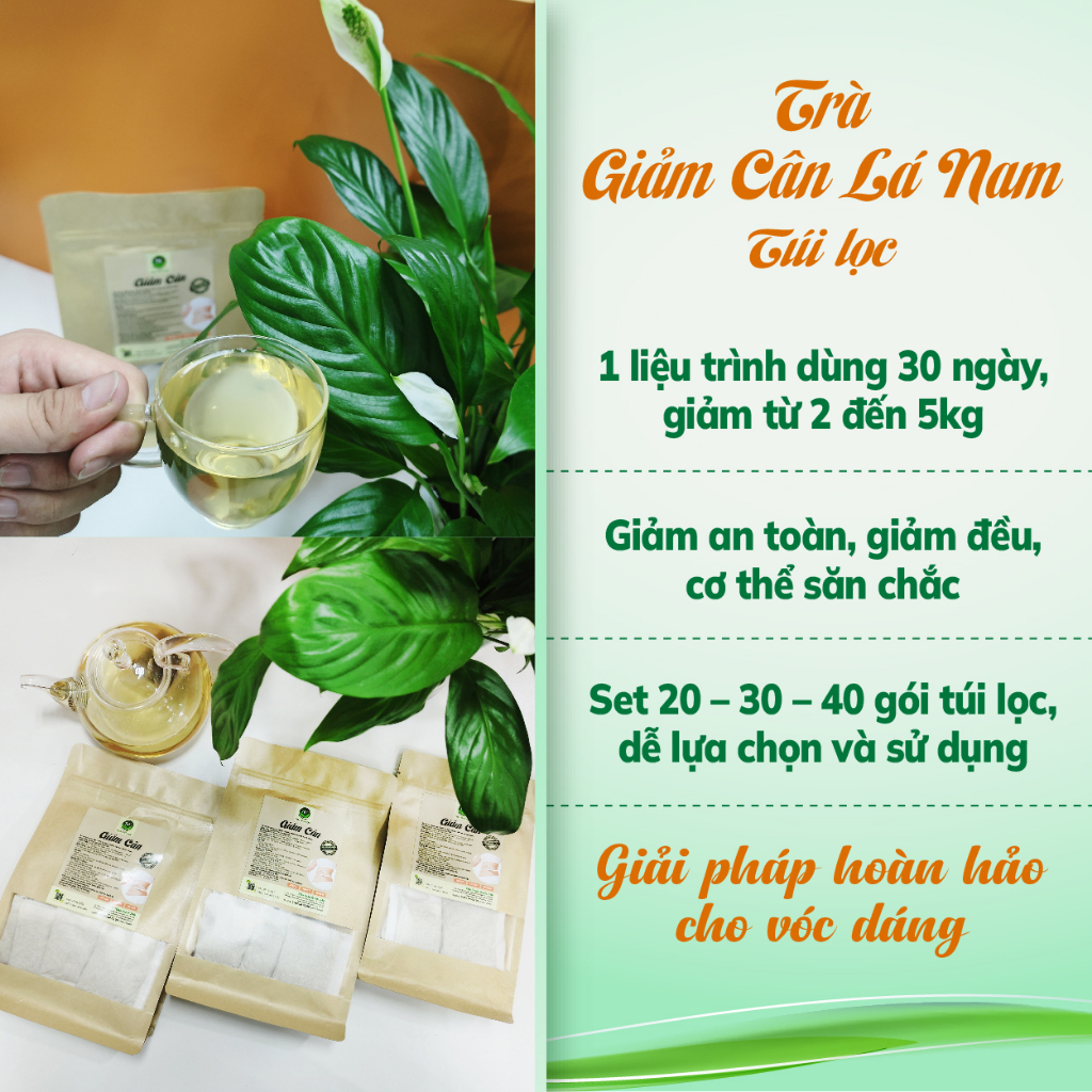 Trà giảm cân lá nam túi lọc, 100% thảo dược tự nhiên, liệu trình dùng trong 20 ngày, giảm tức tốc từ 2 đến 5 kg