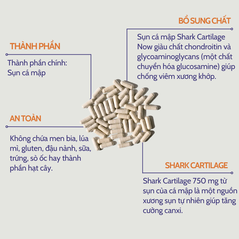 Viên uống Shark Cartilage Now hỗ trợ xương khớp thoái hóa khớp 100 viên