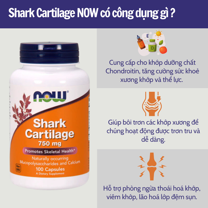 Viên uống Shark Cartilage Now hỗ trợ xương khớp thoái hóa khớp 100 viên