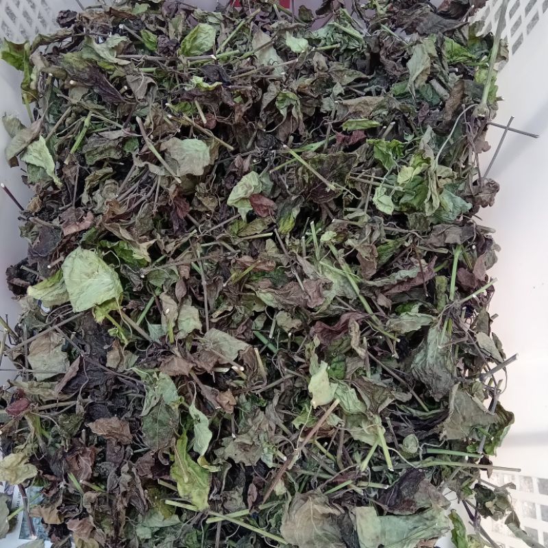 Gói 100 gam lá cẩm đỏ phơi khô nhuộm màu cho xôi chè