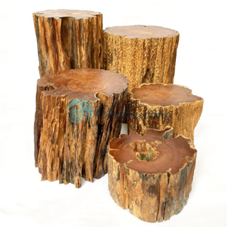 Đôn gỗ kê tượng phật, đôn để chậu cây - Ghế đôn gỗ lũa, kệ gỗ để tượng decor, khoanh gỗ tự nhiên (phát mẫu ngẫu nhiên)