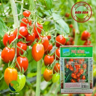 Hạt giống cà chua bi f1 pn-99 phú nông - gói 0.1g - cherry tomato