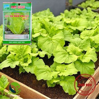 Hạt giống cải bẹ dún phú nông - gói 20g