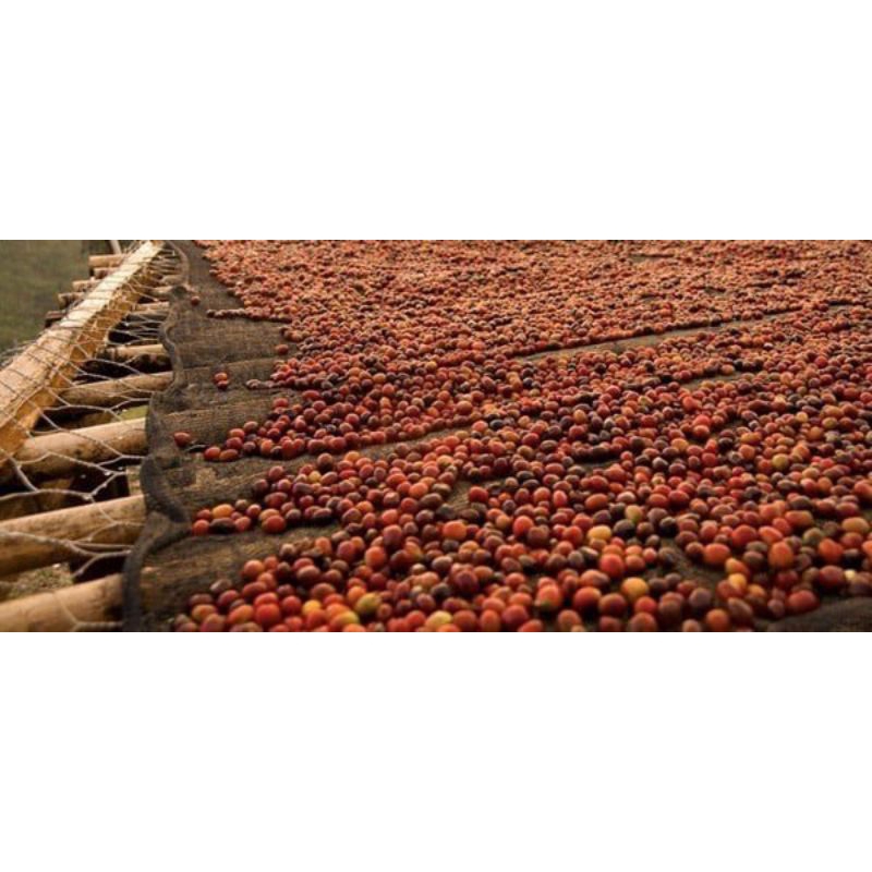 Cà Phê Mật Ong 1kg Viethealthy Nguyên Chất Chống Oxy Hoá