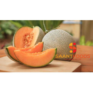 Mứt Dưa Lưới - LongBeach Melon Fruit Based Preperation 900 ml