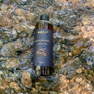 Nước cất trầm hương Toner tuyệt vời cho da Agarwood Water